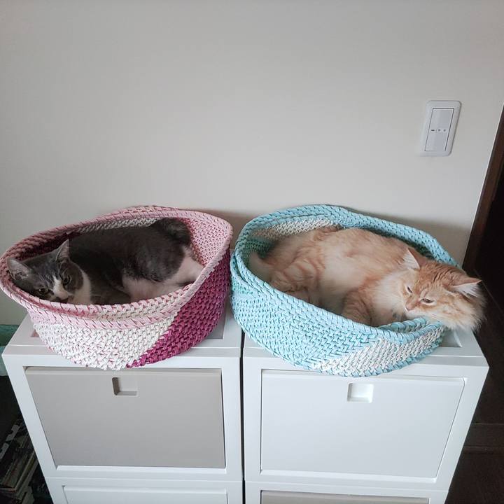 De78ca34 e915 4822 87d7 c2ef817b730a 1657748966640