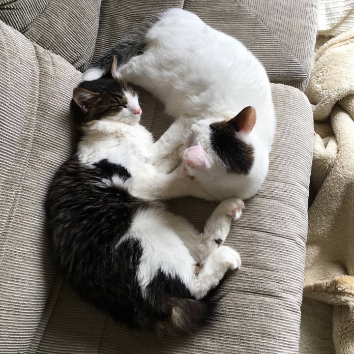 De78ed77 e136 4ee3 a847 f49321c8c813 1668725171792