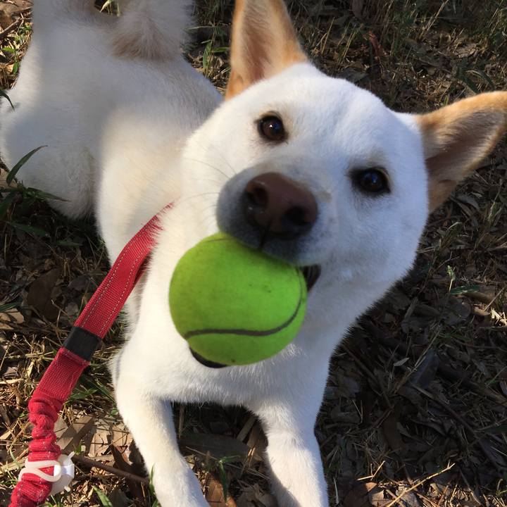 De792f82 8806 41bb 946d a3715eea98bd 1543486619213