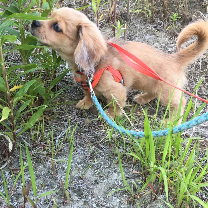 De7943f3 2ca3 4e42 8b2c a0ad489d7a52 1632627032640