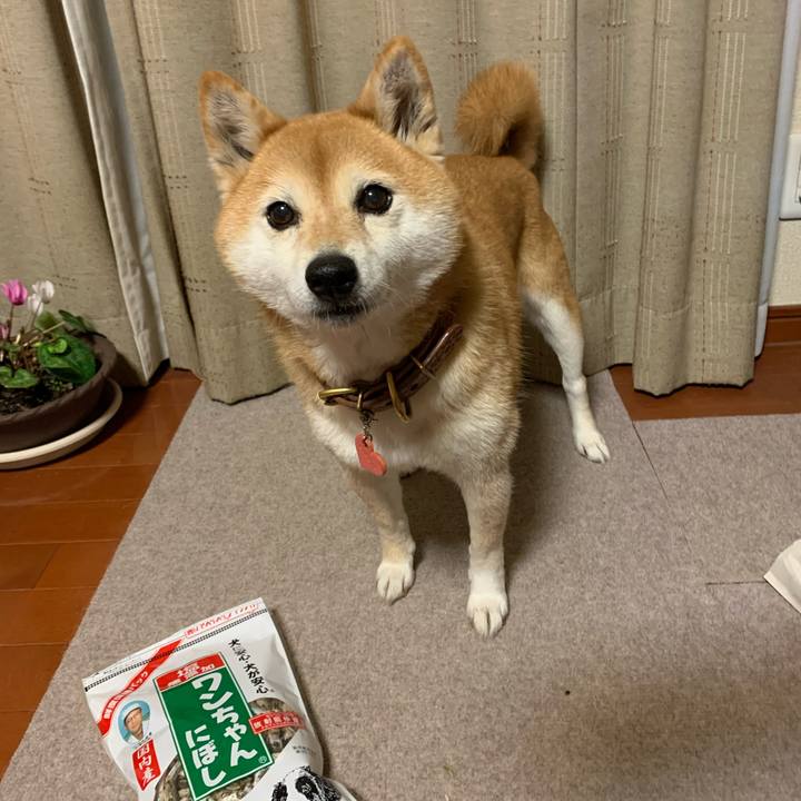 De79696b 6522 461b bdfd 924d8ac11d3d 1611574707558