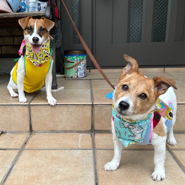 De797cc5 1888 485a 8d5a a17b59de122a 1724936449433