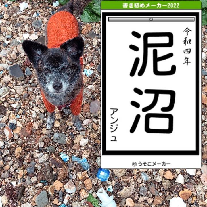 De79a973 e0b8 4226 9a70 c26a52c923d5 1641552602380