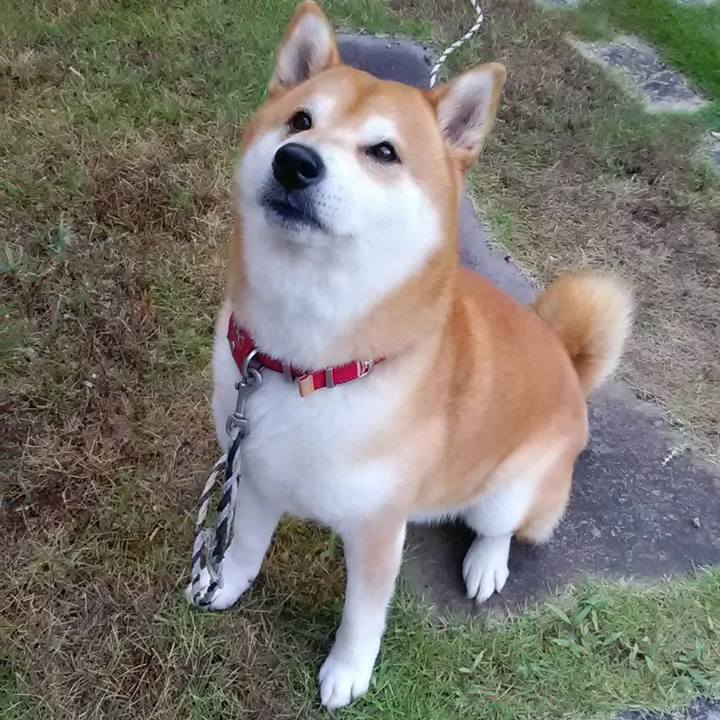 De79a9dc 4778 47b8 9f4a 1cba63137095 1599177847335