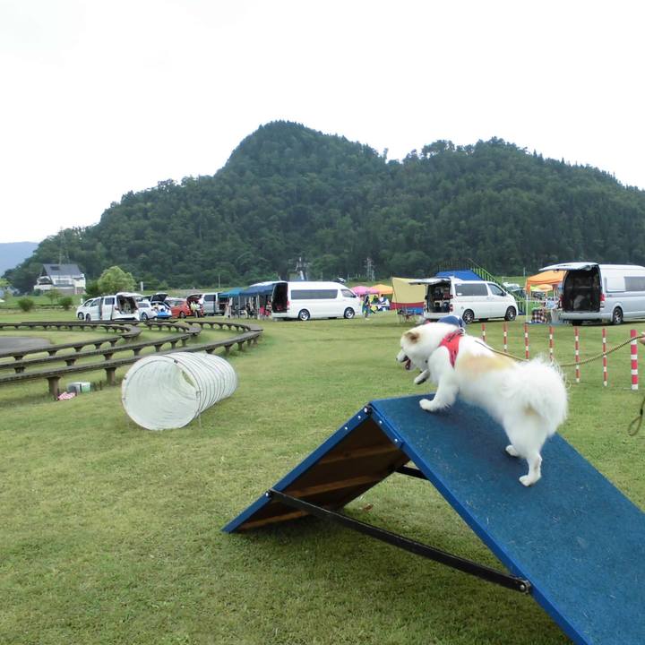 De79d1c8 0f1d 4d35 9610 0f96b6e7086d 1550243767909