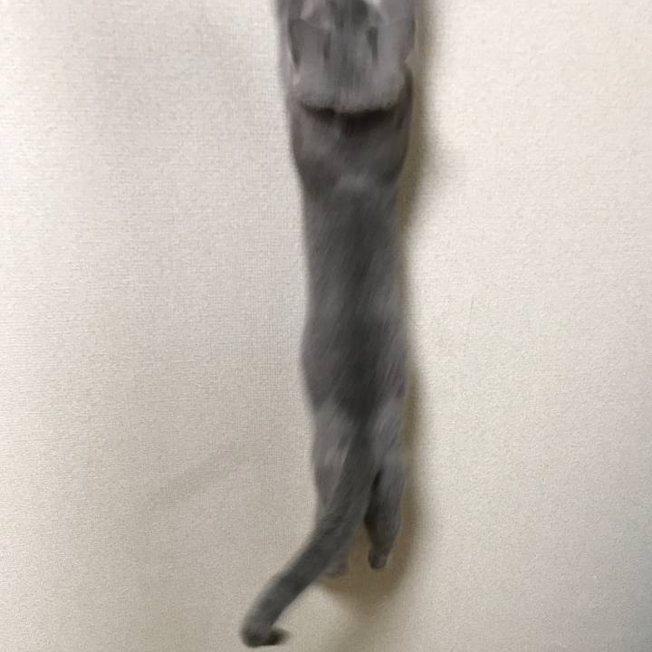 De79dfa9 2297 414c 9feb 659a201de8e6 1519657417461