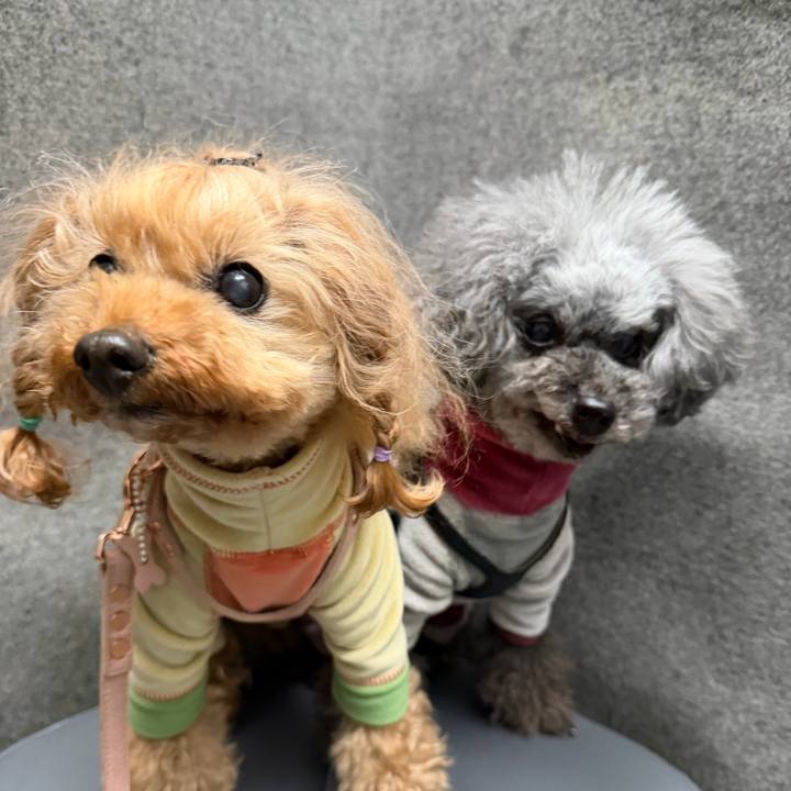 De79e3d4 486f 493b b203 1cbe73dad48b 1773011491330