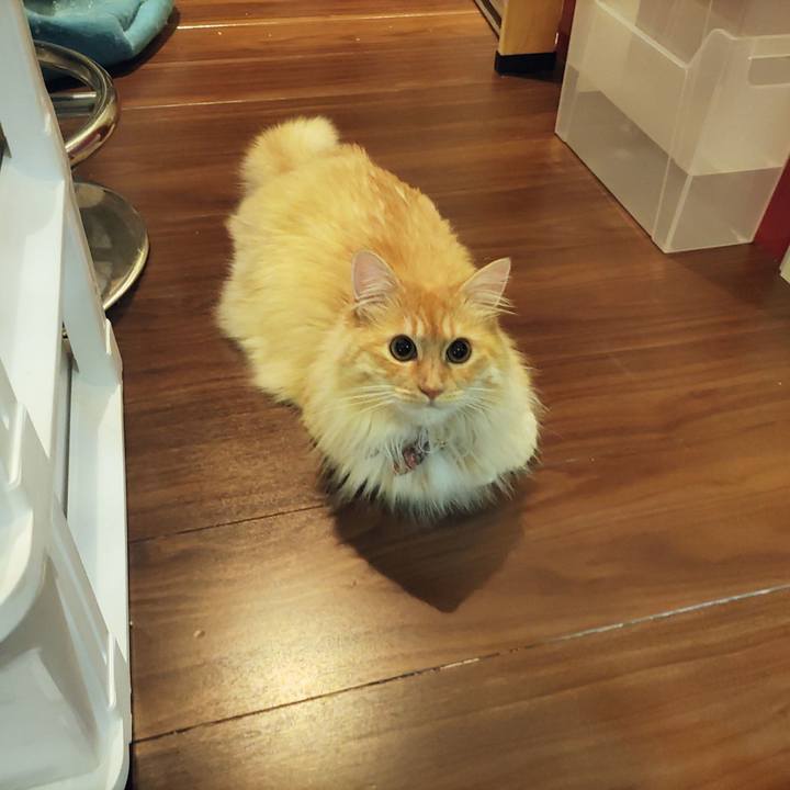 De7a1e1d 5f49 4d21 b7dc 071841429e39 1654003330688