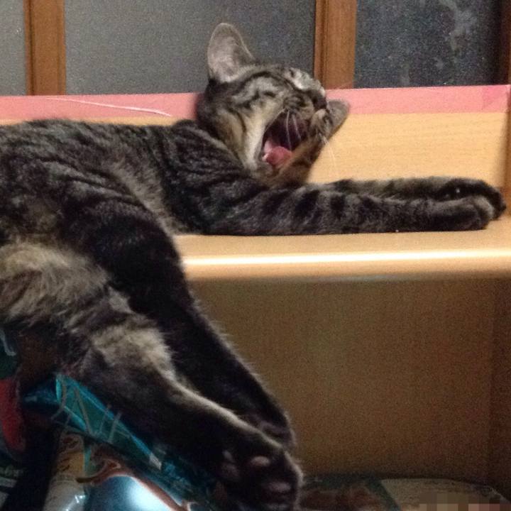 De7a2b82 537e 488e a52e 304b4c210598 1536061268528