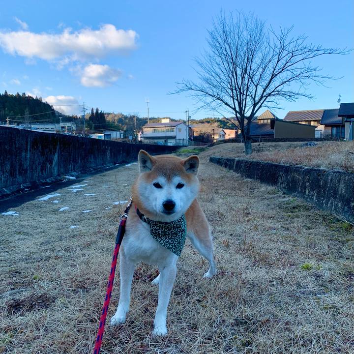 De7a2db6 dd21 4ca8 800a ac3aec89f360 1675153317569