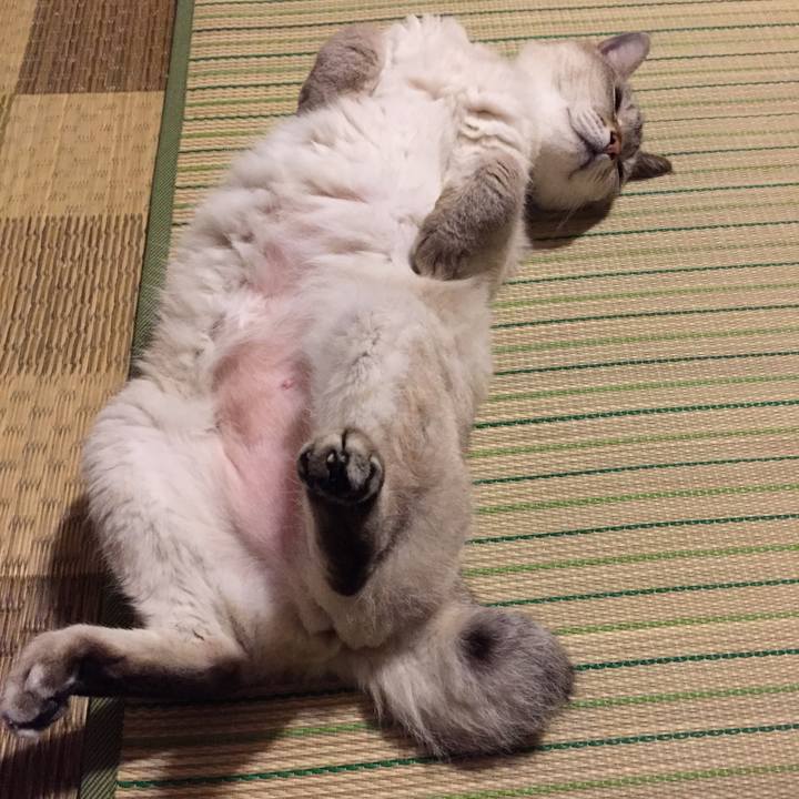 De7a62e9 e703 4f2c 97ef ee318542c688 1530277405829