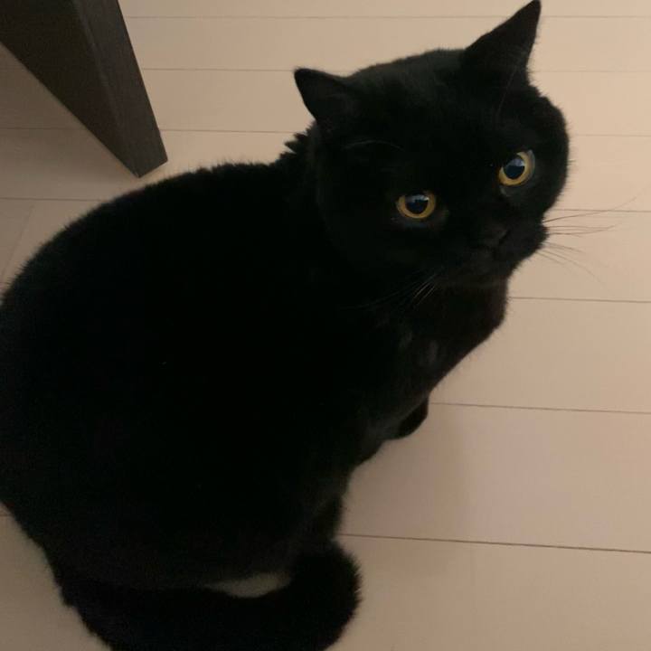 De7a6347 3063 48a5 902a cced0bda96c8 1771161326721