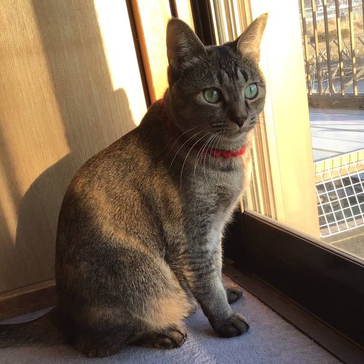 De7a63fe 9f2f 4aee a658 8e229cec8161 1613984179904