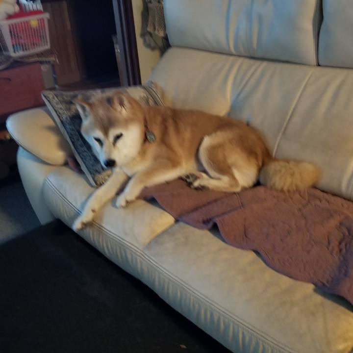 De7a7f32 915d 4852 9a49 753d83581005 1759391167249