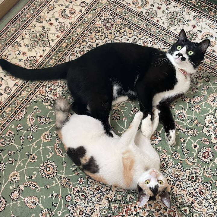 De7a8d3e 892b 44db b48b c63980eabf79 1676864685161