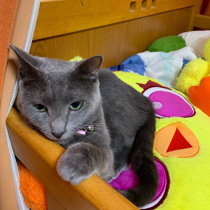 De7a8e54 a21f 4179 bd7a 8a1cb1da6b95 1570610218747