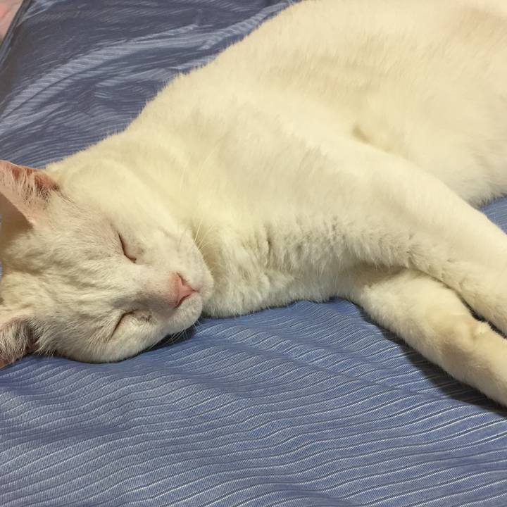 De7ad465 8d98 4de8 aaf0 eaf58a7cd758 1564406866852