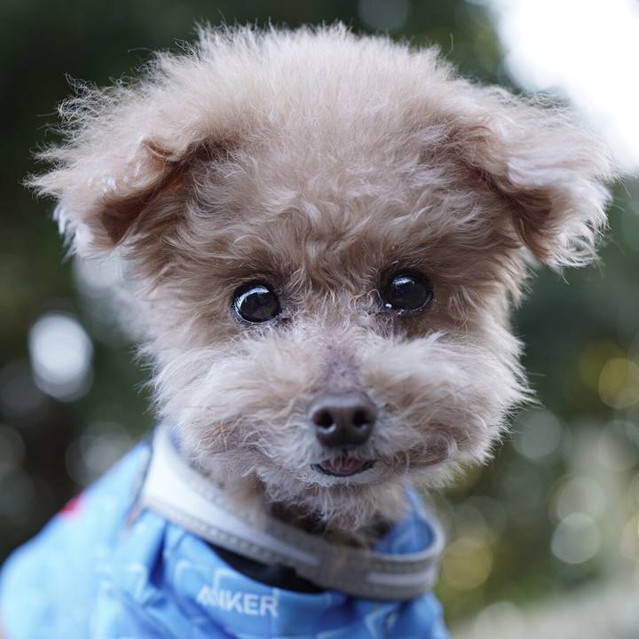 De7adee7 b476 4d31 a4fb 3333a5209c97 1697114418449