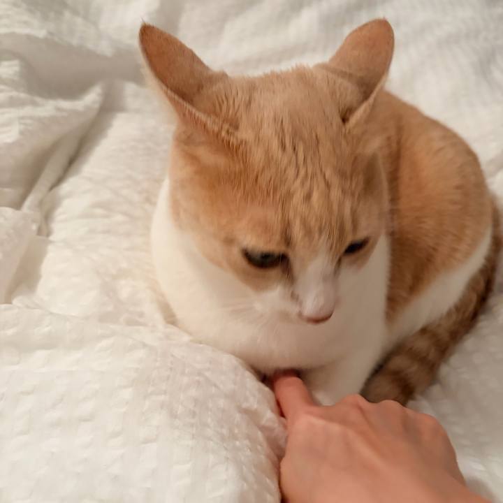 De7b0736 a124 4a1f bd23 ecb70ebdf1ed 1765539887777