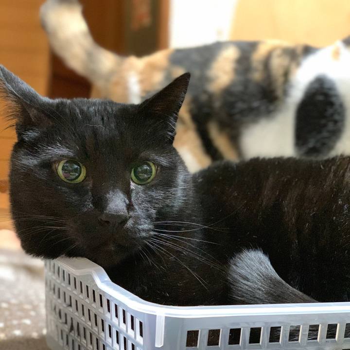 De7b1279 dc01 4a31 82e9 9b6971ba9f12 1579309495136