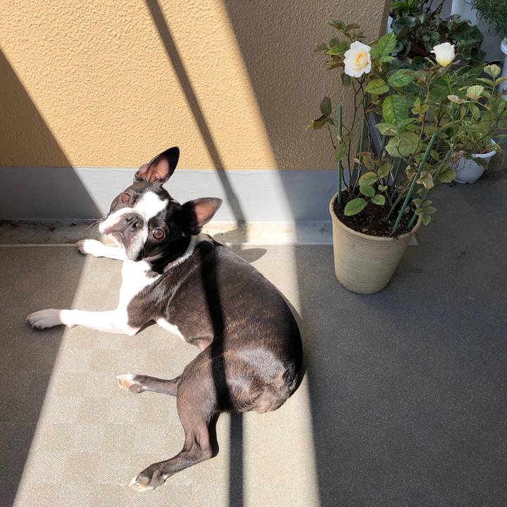 De7b5936 2c31 4e09 a500 effb8c465916 1560385586582