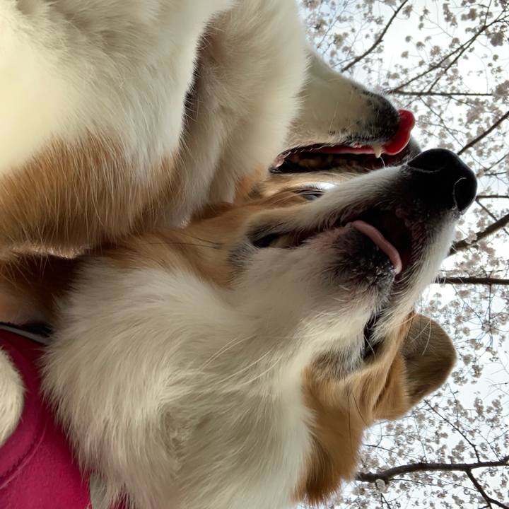 De7b7b78 7b6f 4dcd 9e02 55f6d8b2f2cc 1648627392260