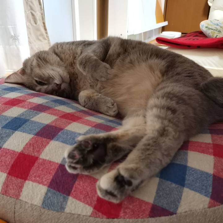 De7ba320 2aec 48f1 bc74 2163c97ced3a 1602773498200