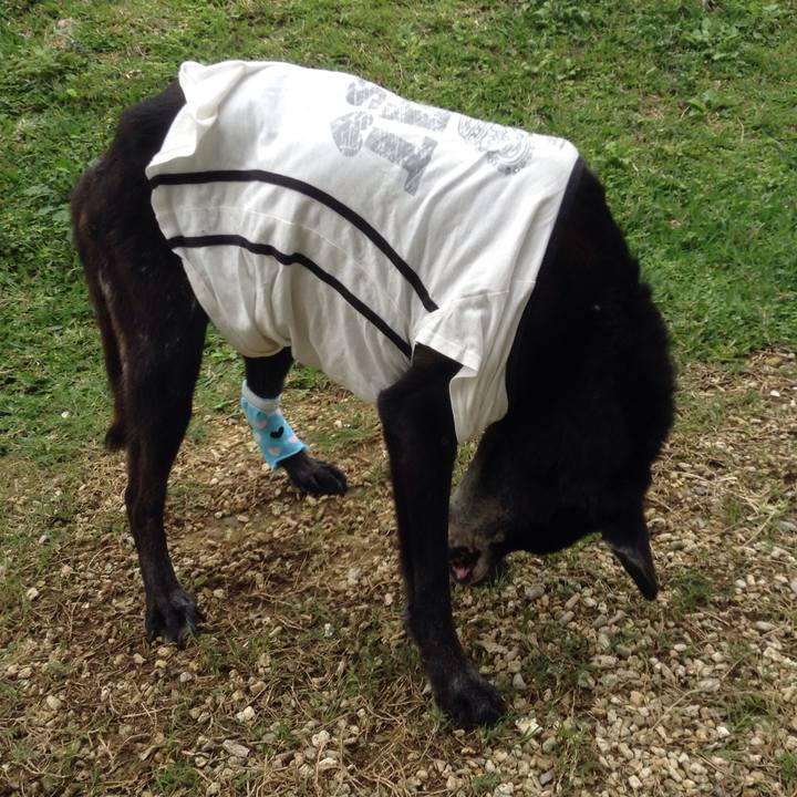 De7c071c 91f2 463d 85c6 a1a199b0873d 1516672402435