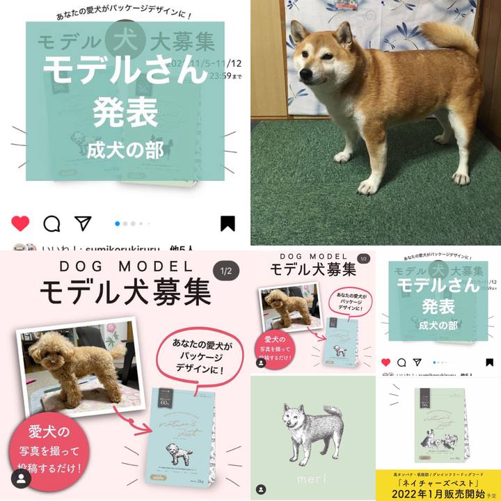 De7c18f9 f351 470a 98c2 9cfcf17d7390 1641591713731