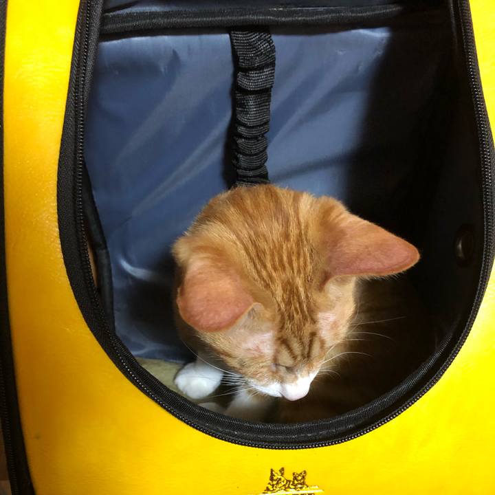 De7c2082 f728 45b0 91b7 0e3cf4cf3a2c 1548248962256