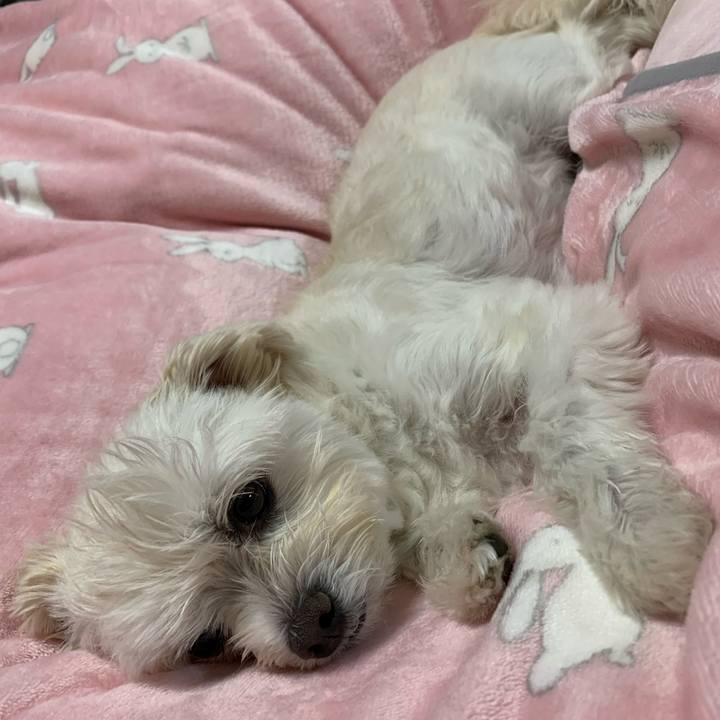 De7c7180 538f 454e aa7f 2cef5dc18823 1604832495887