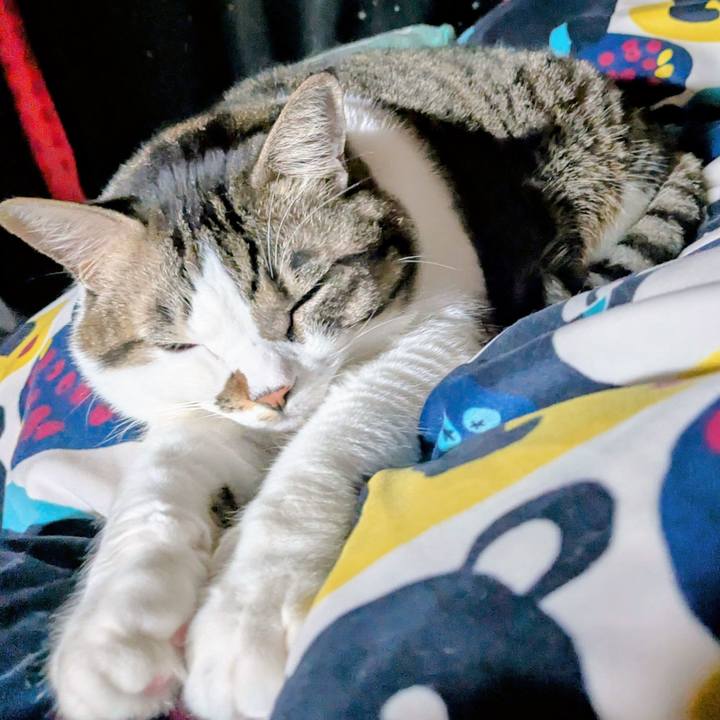 De7ca6aa f4f6 4d24 8eb7 747bb93d0472 1762776395870