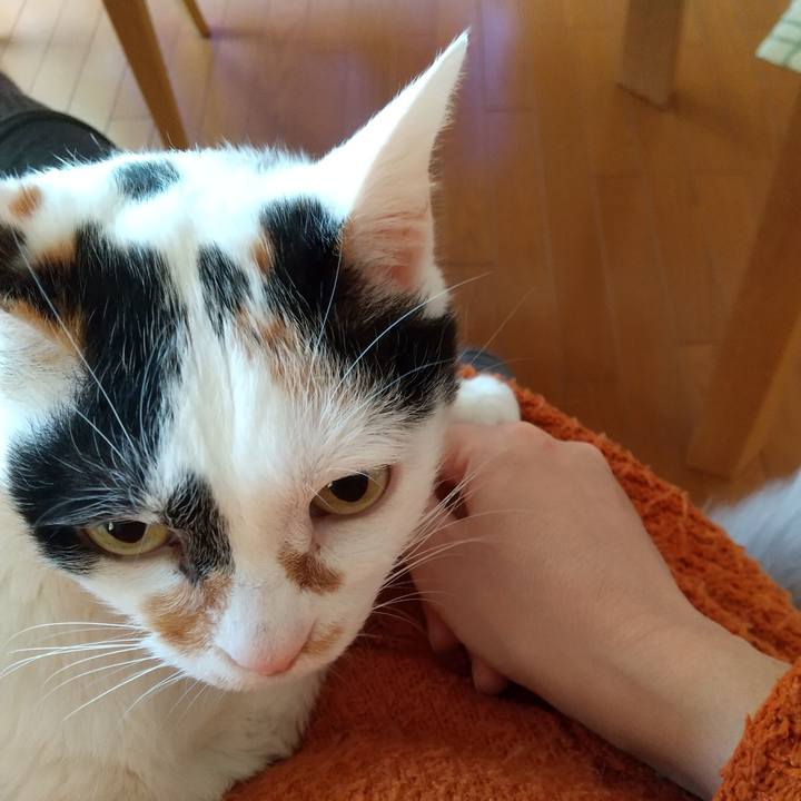 De7cc9d0 986c 4556 983c 029dd7b07eca 1611183921543