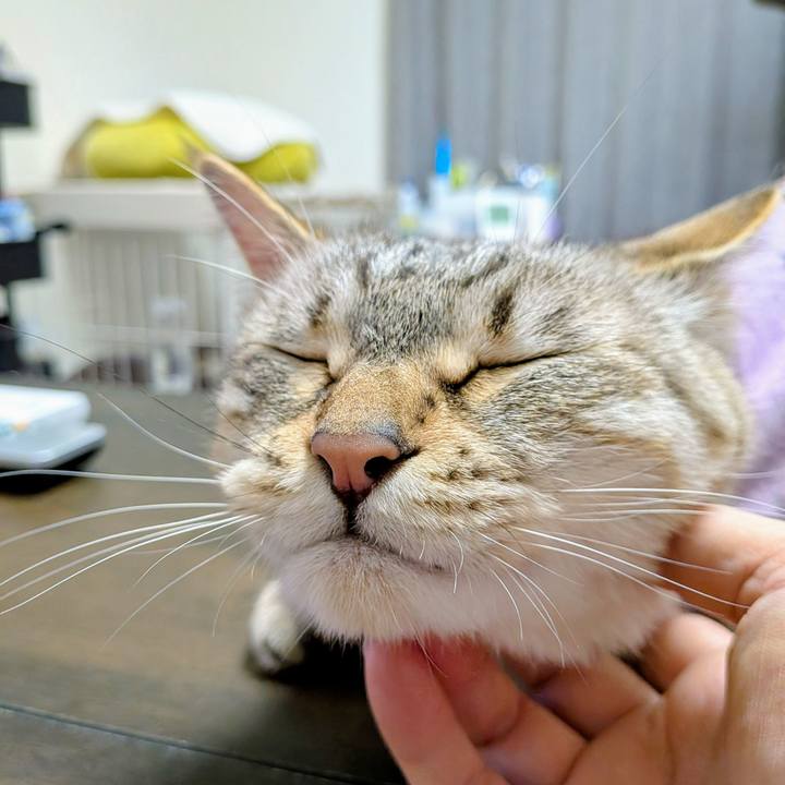 De7cd0f1 350b 4d6c b12f f3b1db58a672 1750072707064