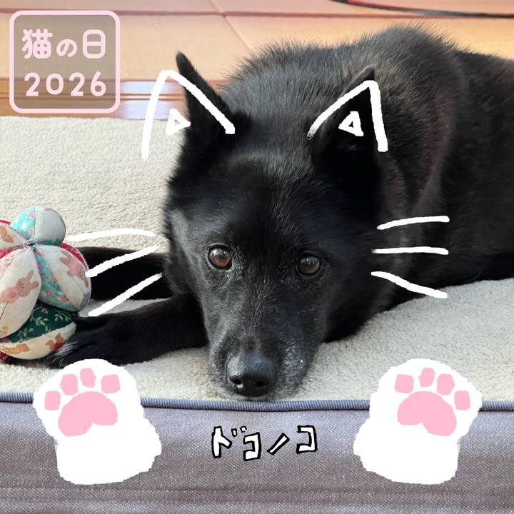 De7d141b 2eef 41bf aab3 fd5bfc8509b5 1771720154457