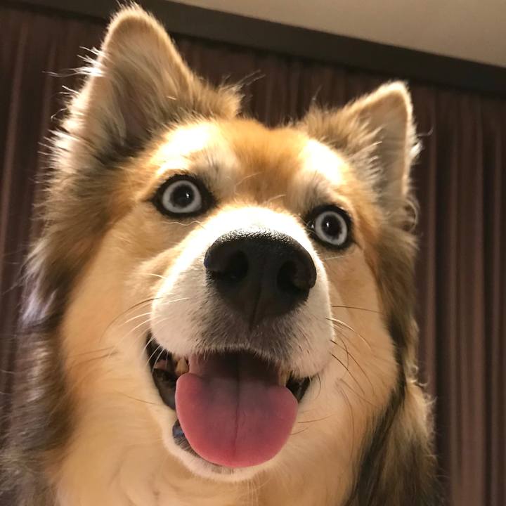 De7d1c27 861c 4506 b974 c2393cf0856e 1529388158842