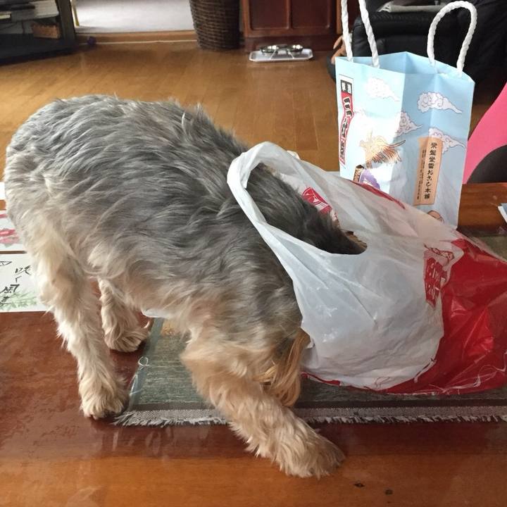 De7d4627 6228 4646 8e7b 5551fc9d5c0e 1527065604673