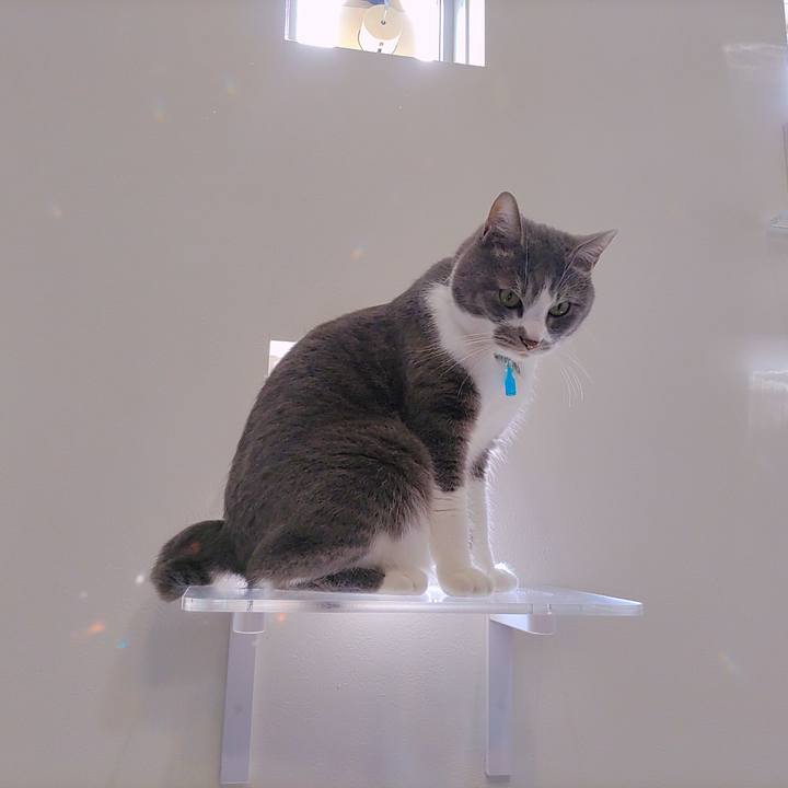 De7d6ca2 f1a1 4f89 aeb6 989b25905008 1681185934215