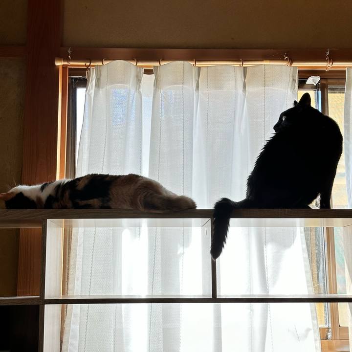 De7d9401 e6f4 4b2d 9a79 08e1c53789de 1693616080931