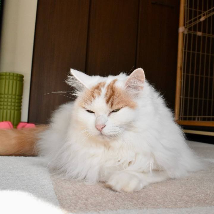 De7dba6c 9fc2 4d90 9b52 9000d9dab378 1771811620678