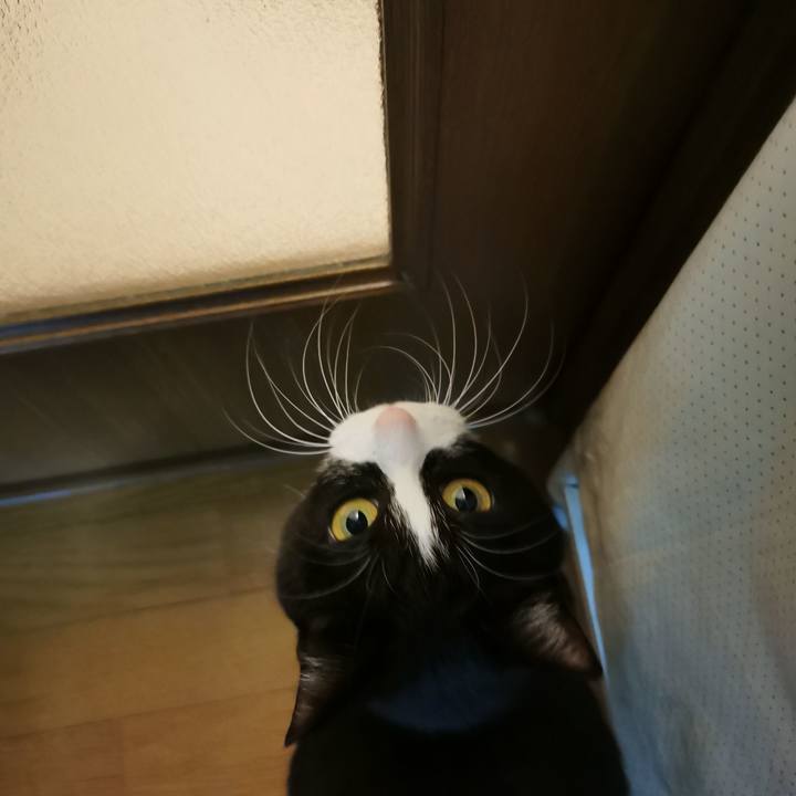 De7dce7e 974c 4e5f bd6e 9ae73f114655 1643860033965