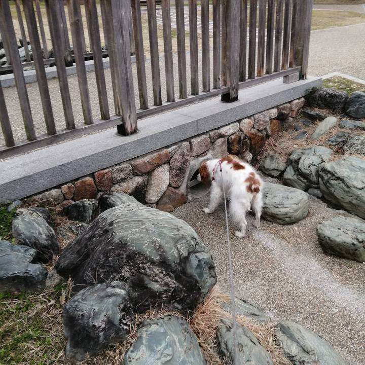 De7de12d ae26 40dd 8a24 d1db6e6f98fc 1609837449582