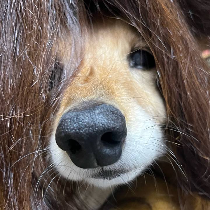 De7e1836 e91c 495a a395 e80d344a7bde 1671705031400