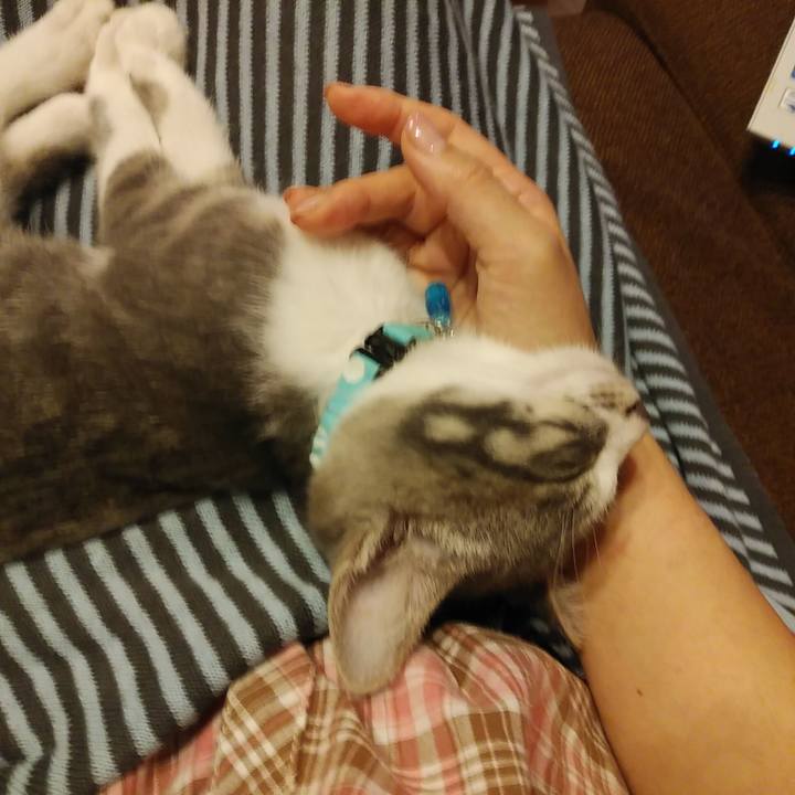 De7e2e6d 69c6 4a27 9ed3 df705a81587c 1563531765459