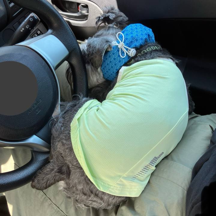 De7e7ce8 1347 4c22 a685 626e0eb9be13 1722166811320