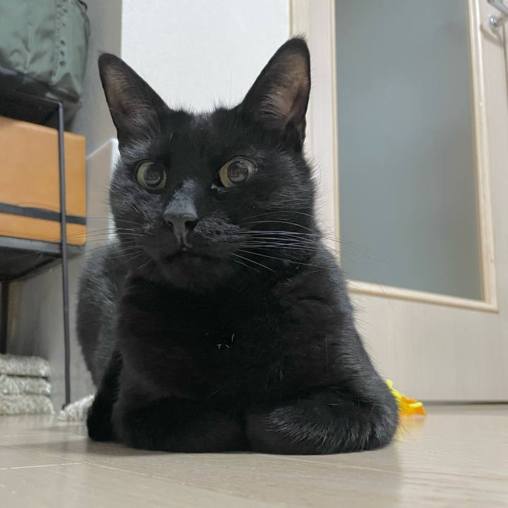 De7e9104 ccb8 4c5c b52b e4af23edc278 1704267153509