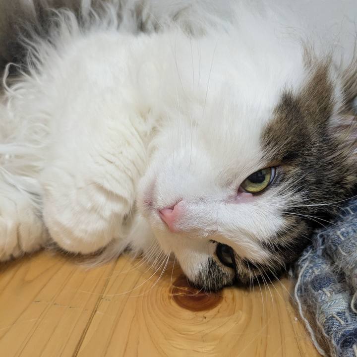 De7ea501 7800 4968 8f46 9463a15becba 1762516841991