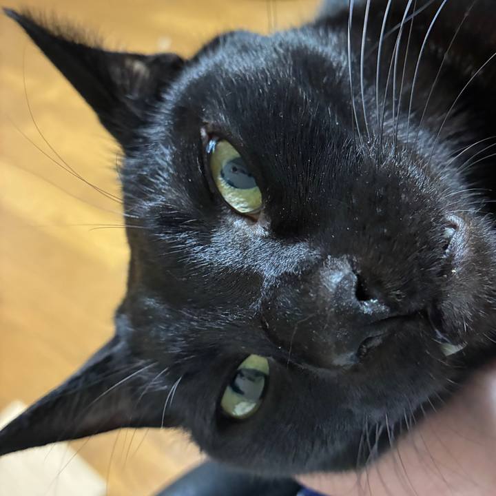 De7ec0c7 d2af 43e8 935c a9f55aa3b32a 1764404688283