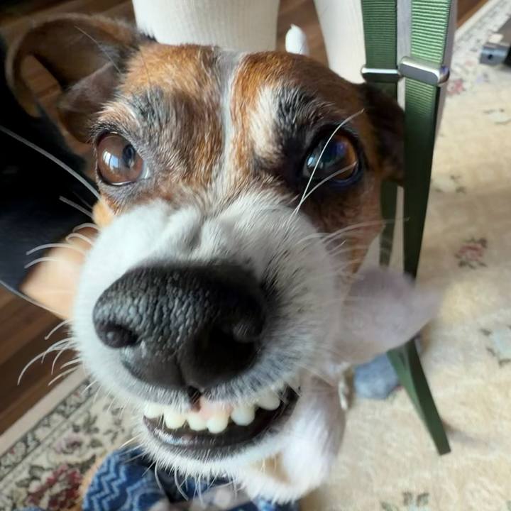 De7ed991 ceec 499f 81f2 27c681de8b32 1770104867561