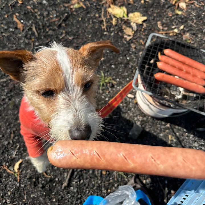 De7ef25e d33e 46f0 90b9 615eb424a2fd 1771079996810